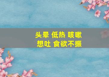 头晕 低热 咳嗽 想吐 食欲不振